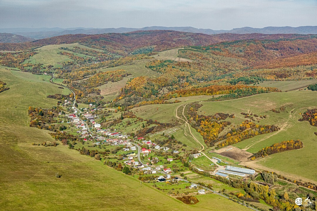 Zbudska-Bela-2019
