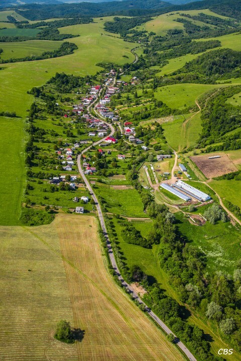 Zbudska-Bela-2014-8
