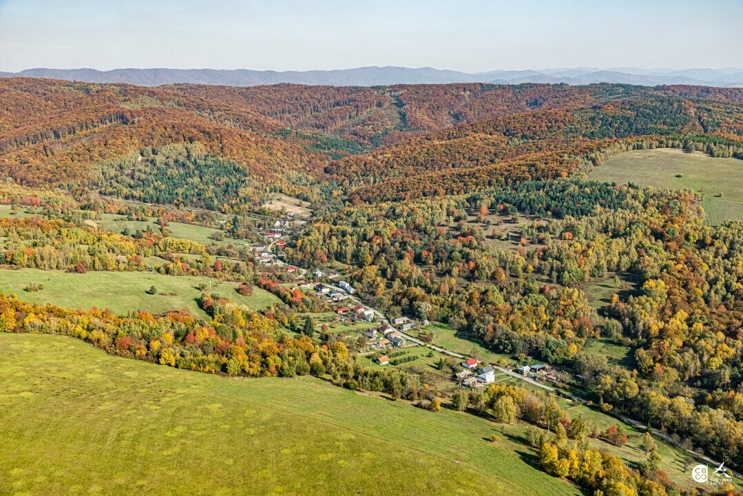 Zbudska-Bela-2019-10