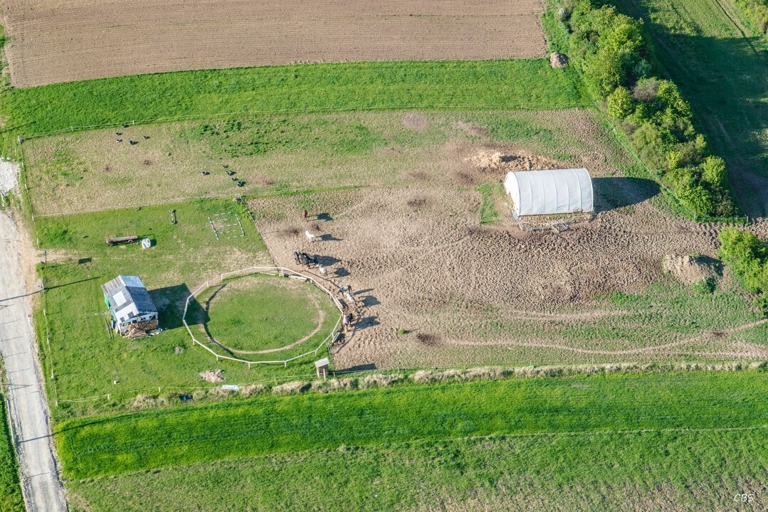 Cervena-Voda-2016-19