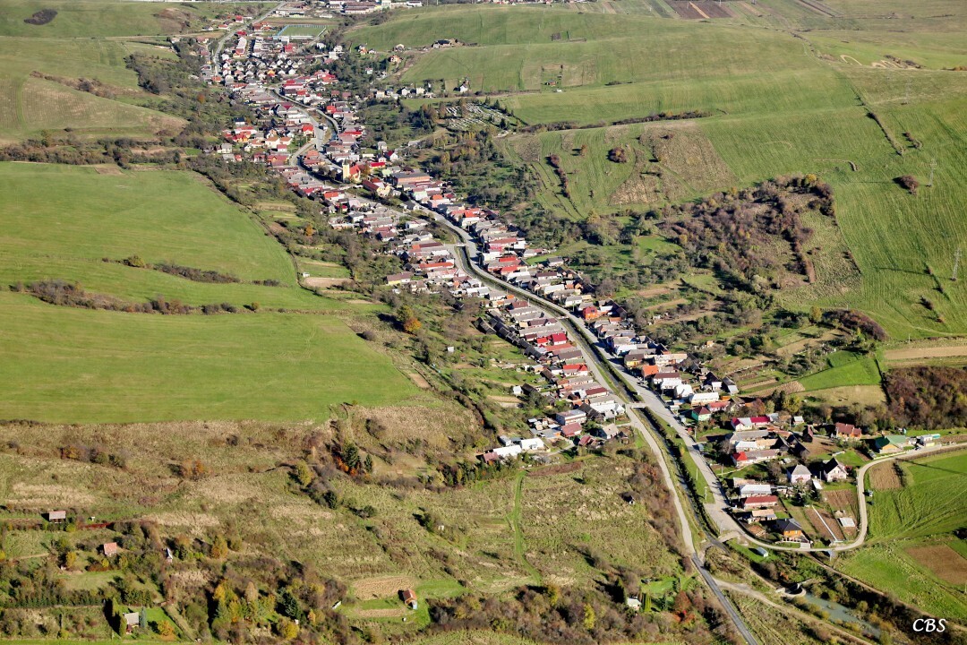 Dubovica-2014-8