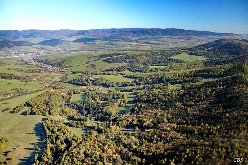 Dubovica-2014
