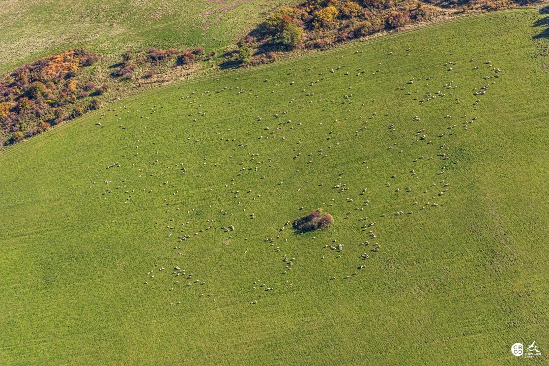 Jakubova-Vola-2019-14