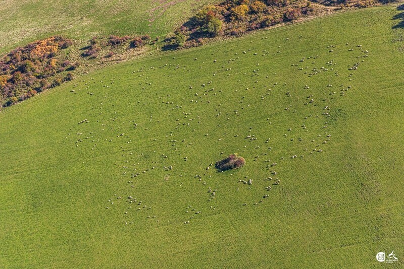 Jakubova-Vola-2019-14