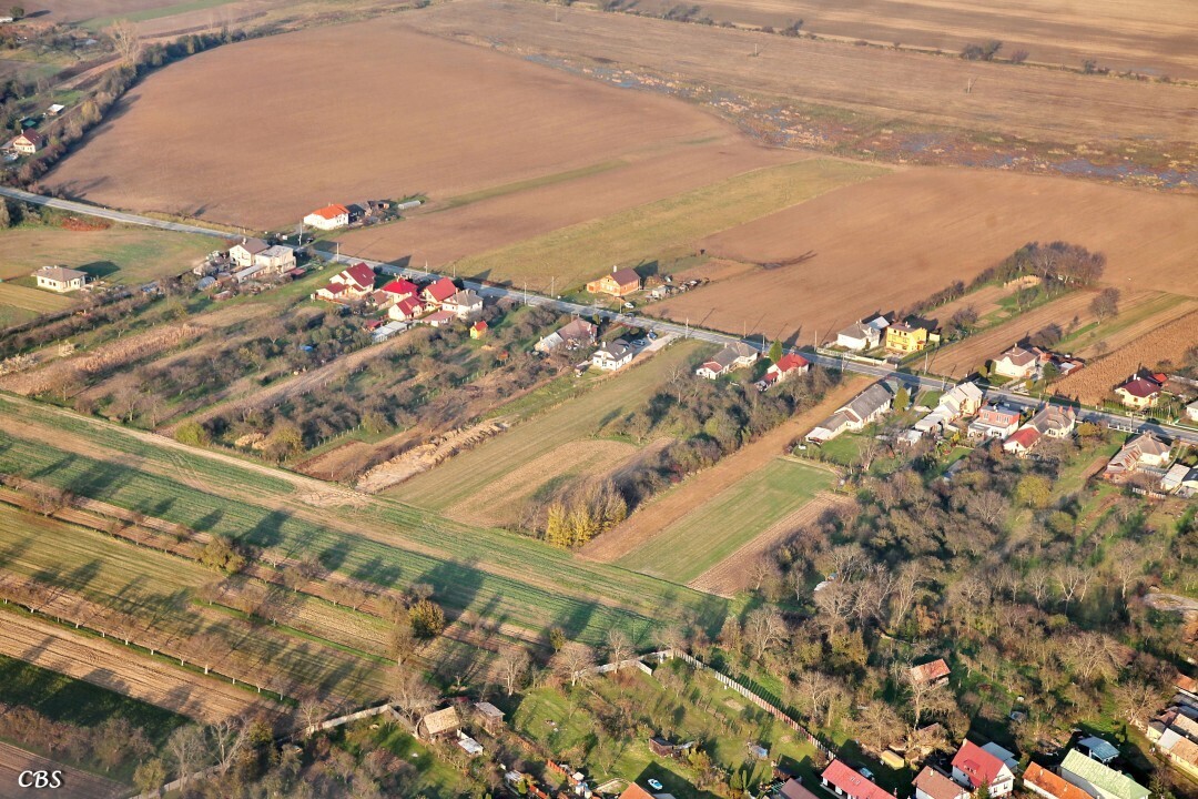 Janovik-2014-jesen-5