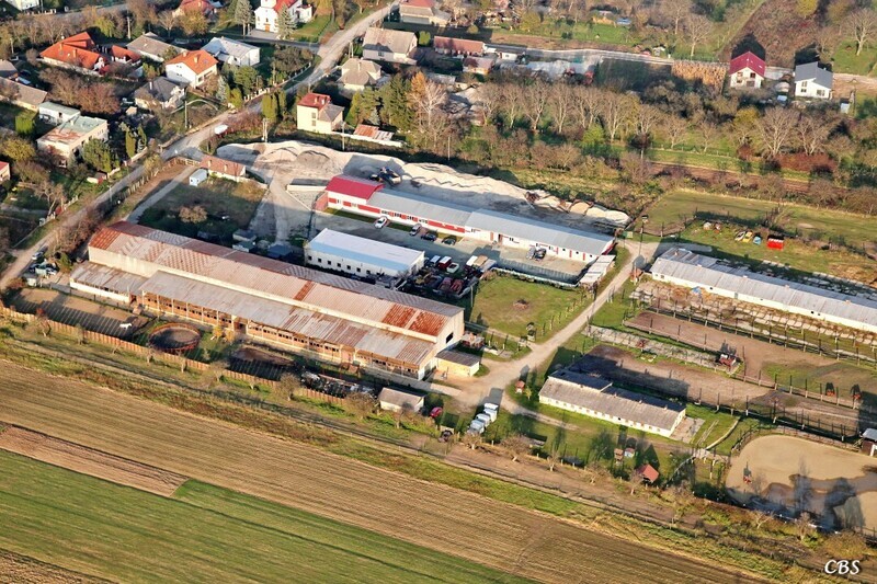 Janovik-2014-jesen-2