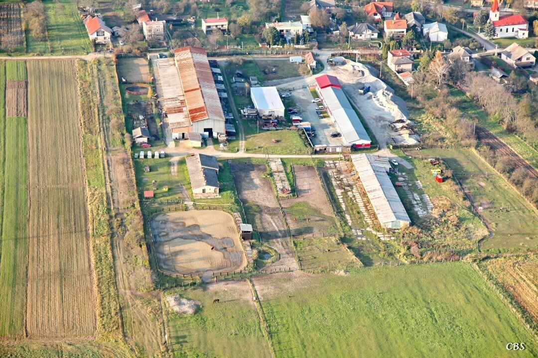 Janovik-2014-jesen-14