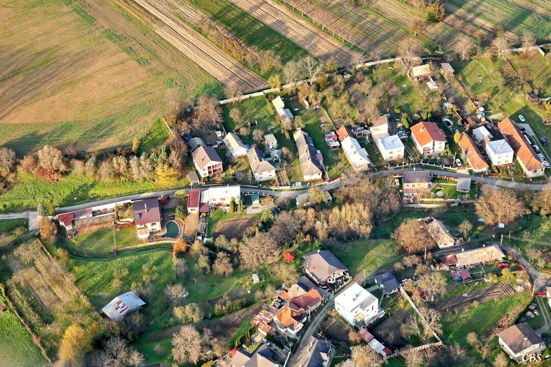 Janovik-2014-jesen-16