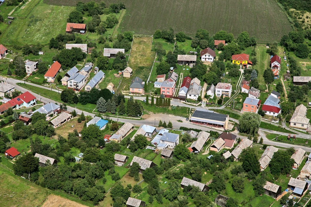 Kojatice-2012-16