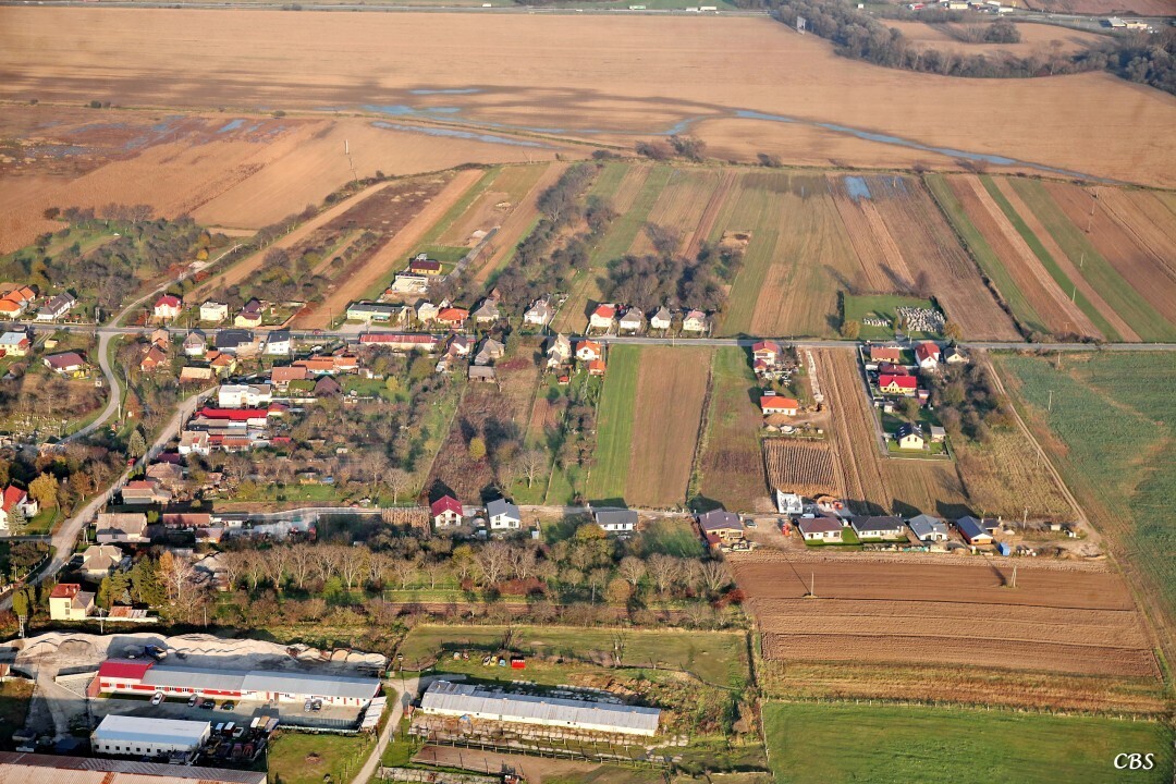 Janovik-2014-jesen-3