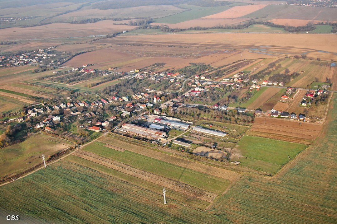 Janovik-2014-jesen-1