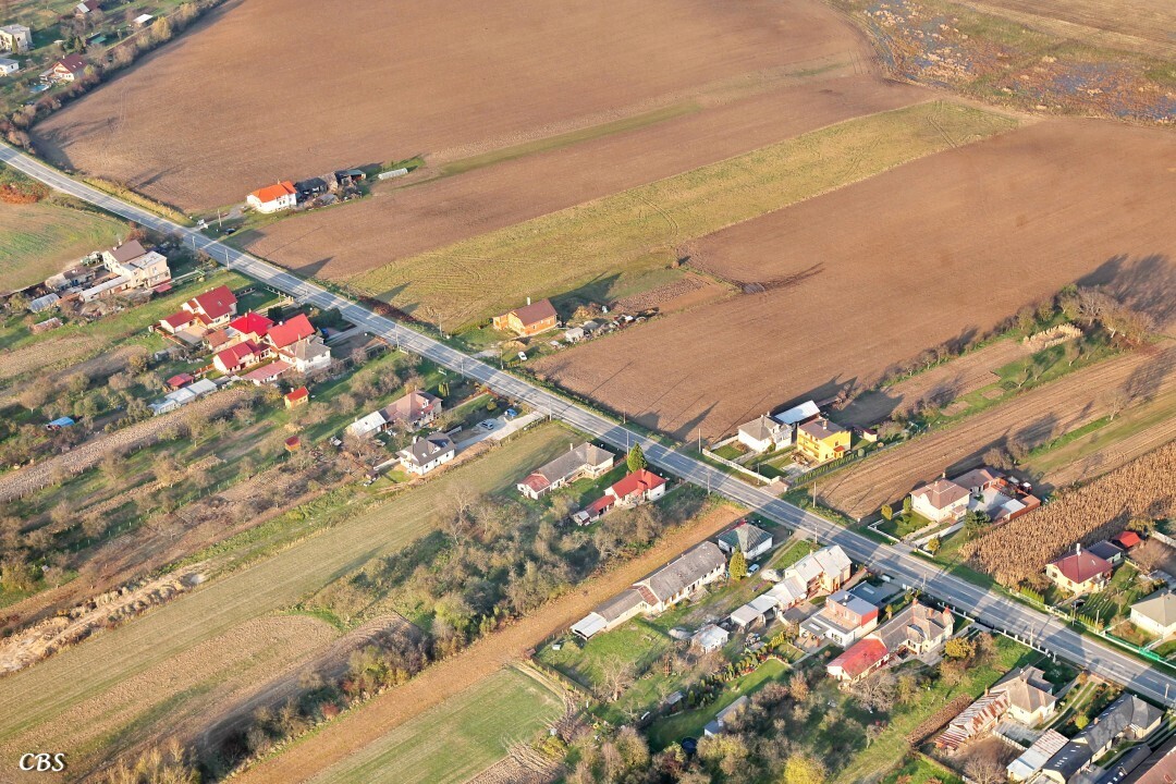 Janovik-2014-jesen-13