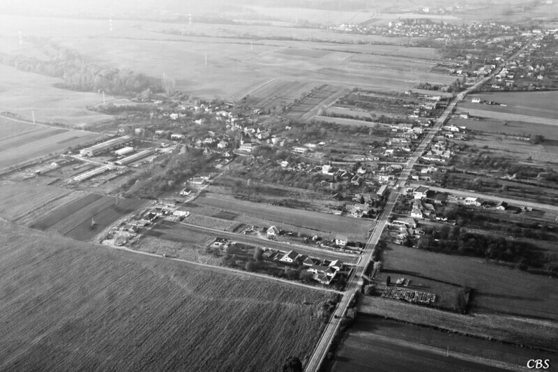 Janovik-2014-jesen-10