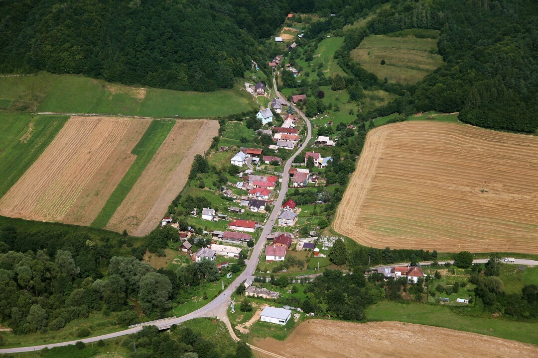 Kojatice-2012-3