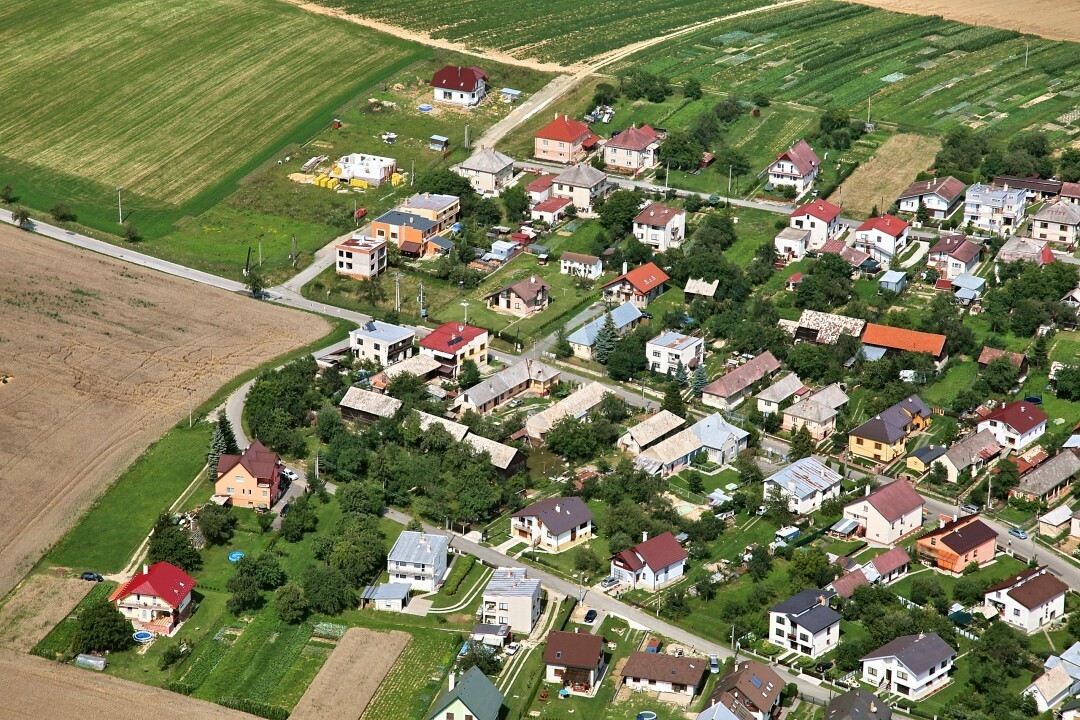 Kojatice-2012-19