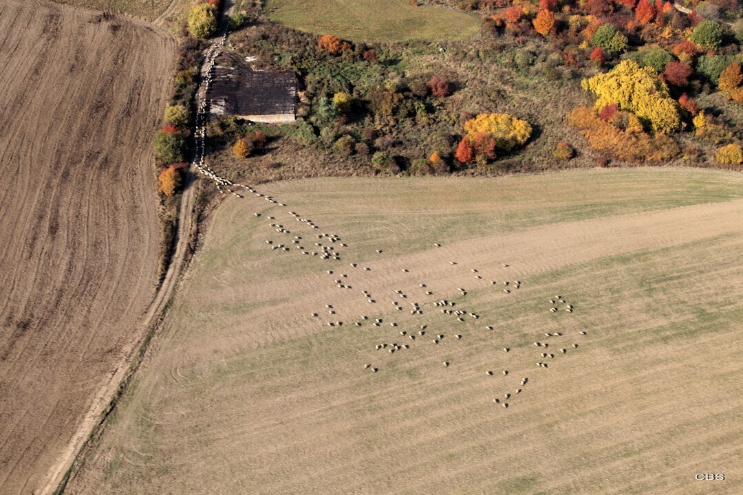 Hermanovce-nad-Toplou-2013-3