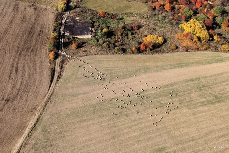 Hermanovce-nad-Toplou-2013-3