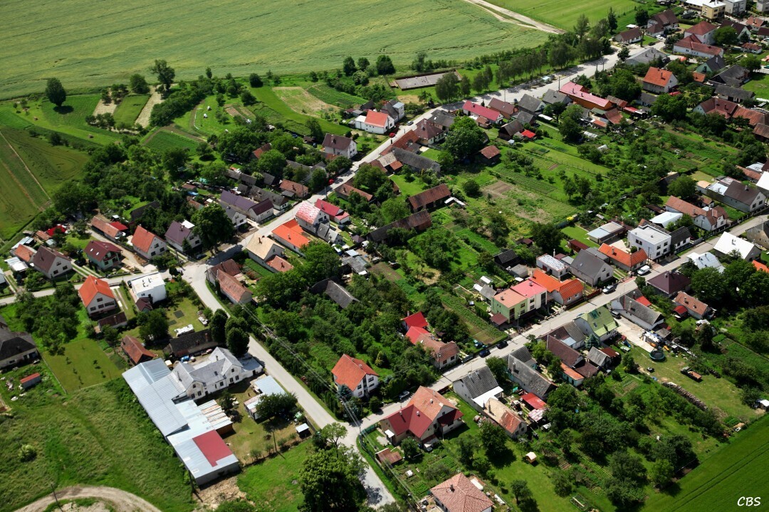 Slavnica-2014-14