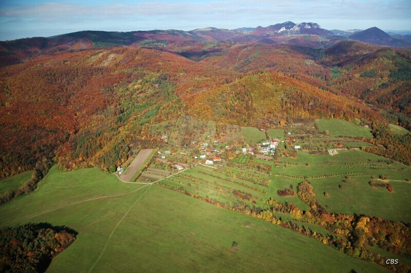 Slavnica-2013-19