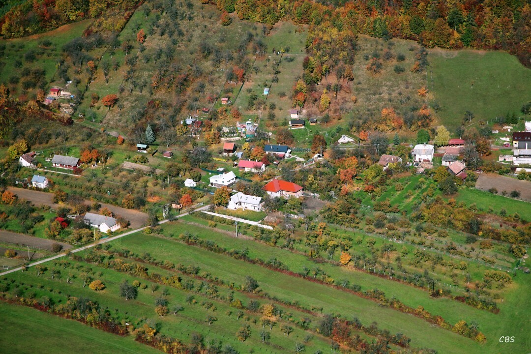 Slavnica-2013-18