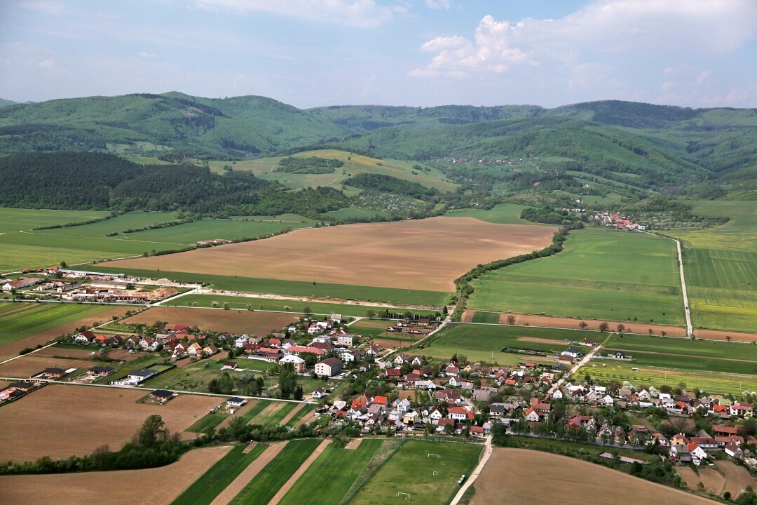 Slavnica-2012-8