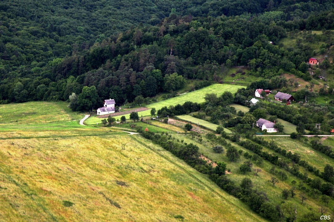 Slavnica-2014-32