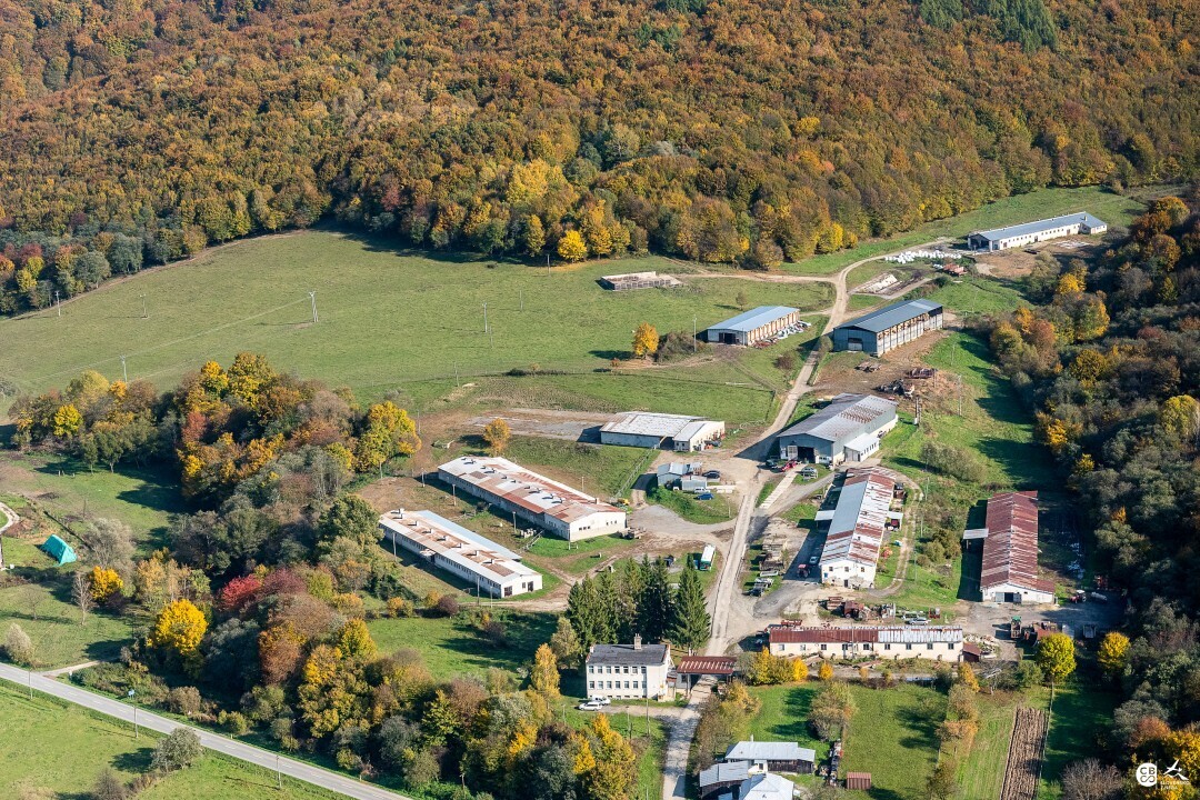 Staskovce-2019-jesen-10