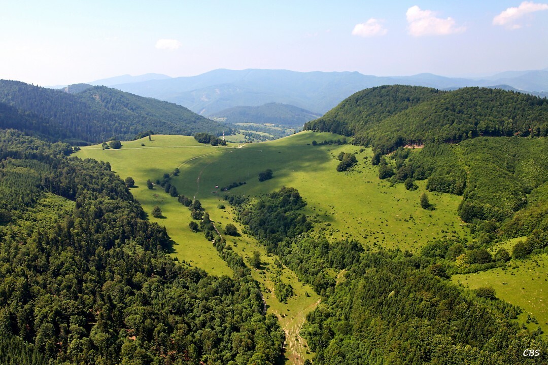 Chvojnica-2013-19