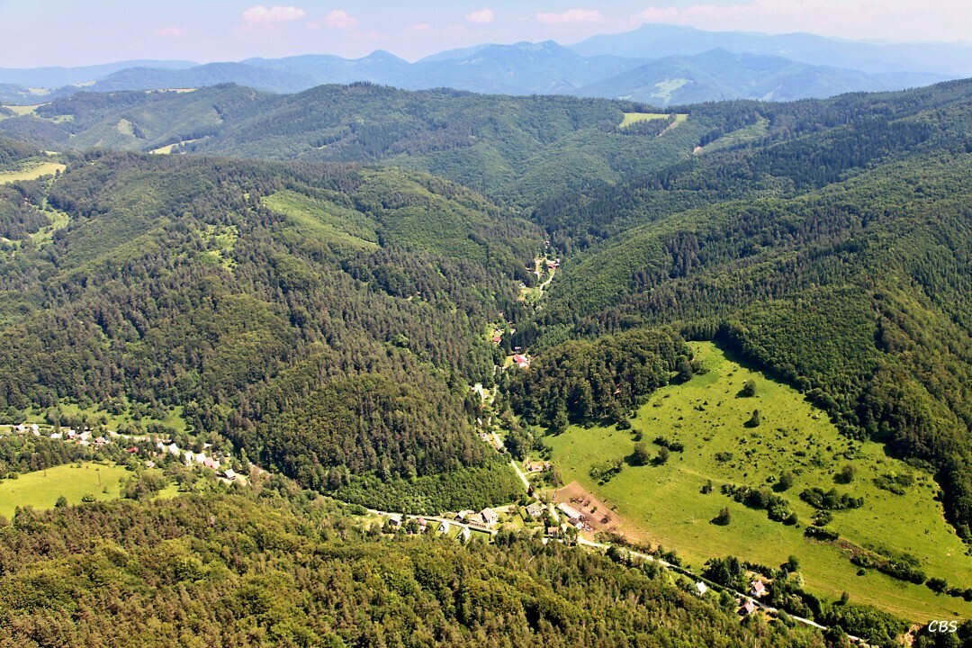 Chvojnica-2013-12