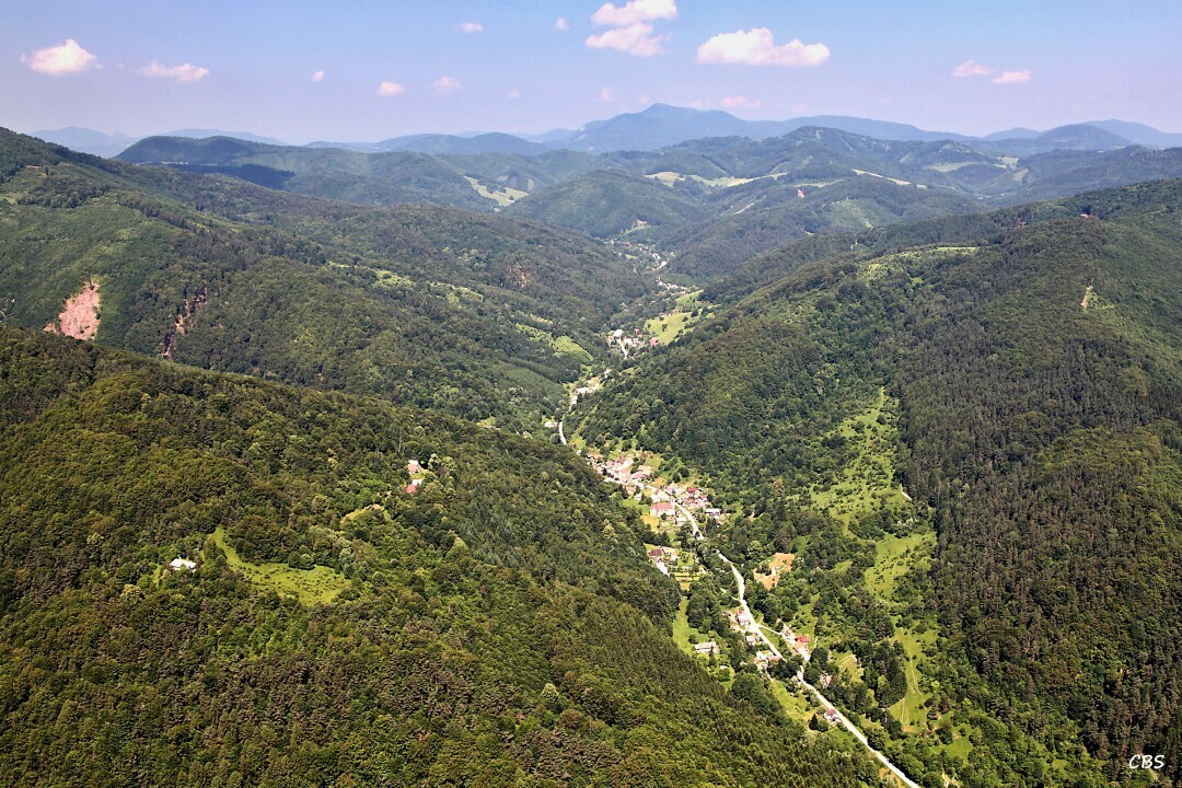 Chvojnica-2013-6