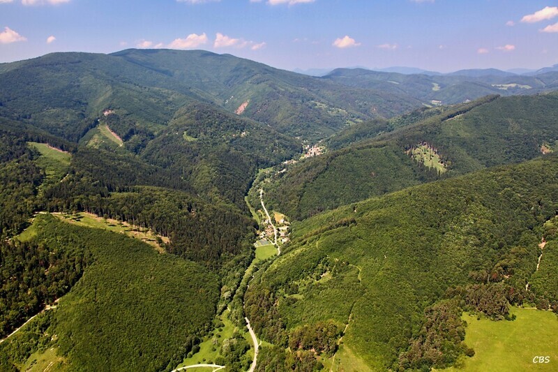 Chvojnica-2013-1