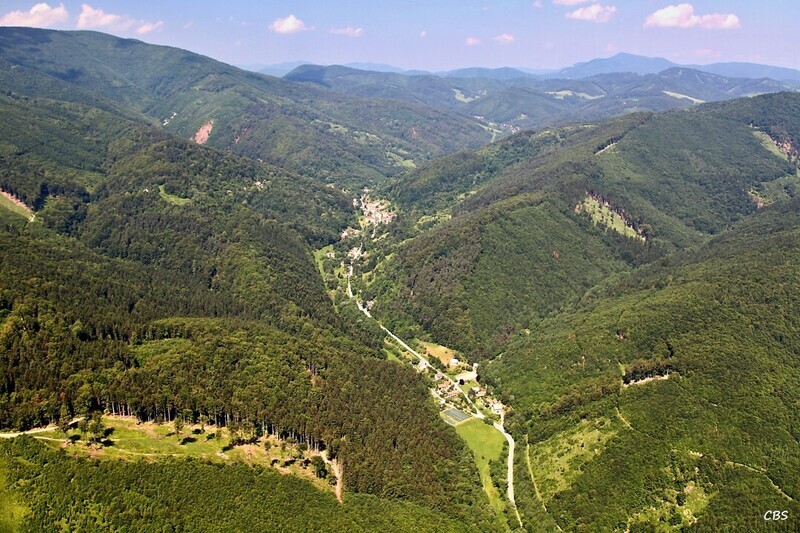 Chvojnica-2013-4