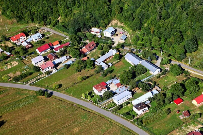 Gribov-2013-11
