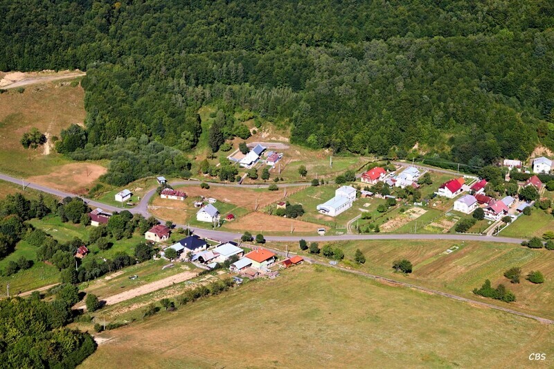 Gribov-2013-2