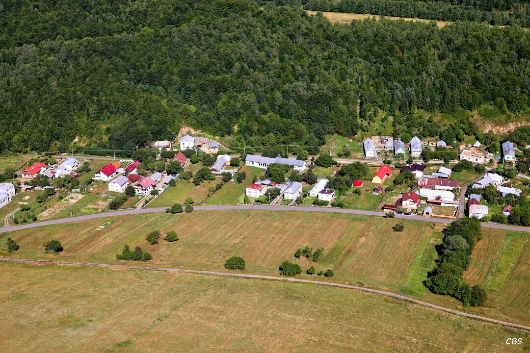 Gribov-2013-1