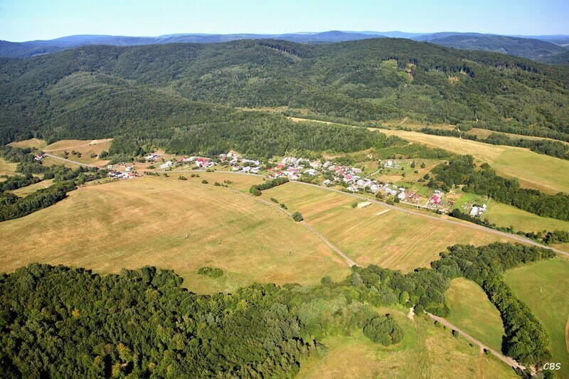 Gribov-2013-15