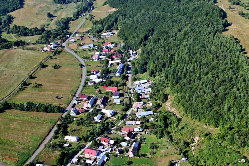 Gribov-2013-9