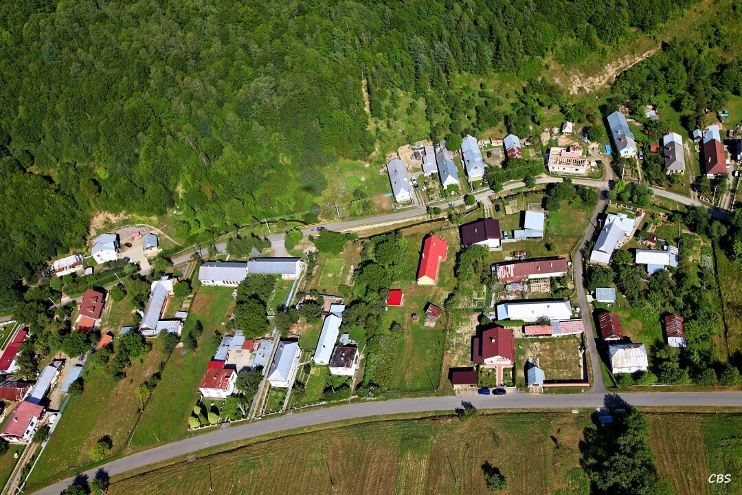 Gribov-2013-12