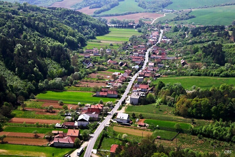 Zitna-Radisa-2013-12