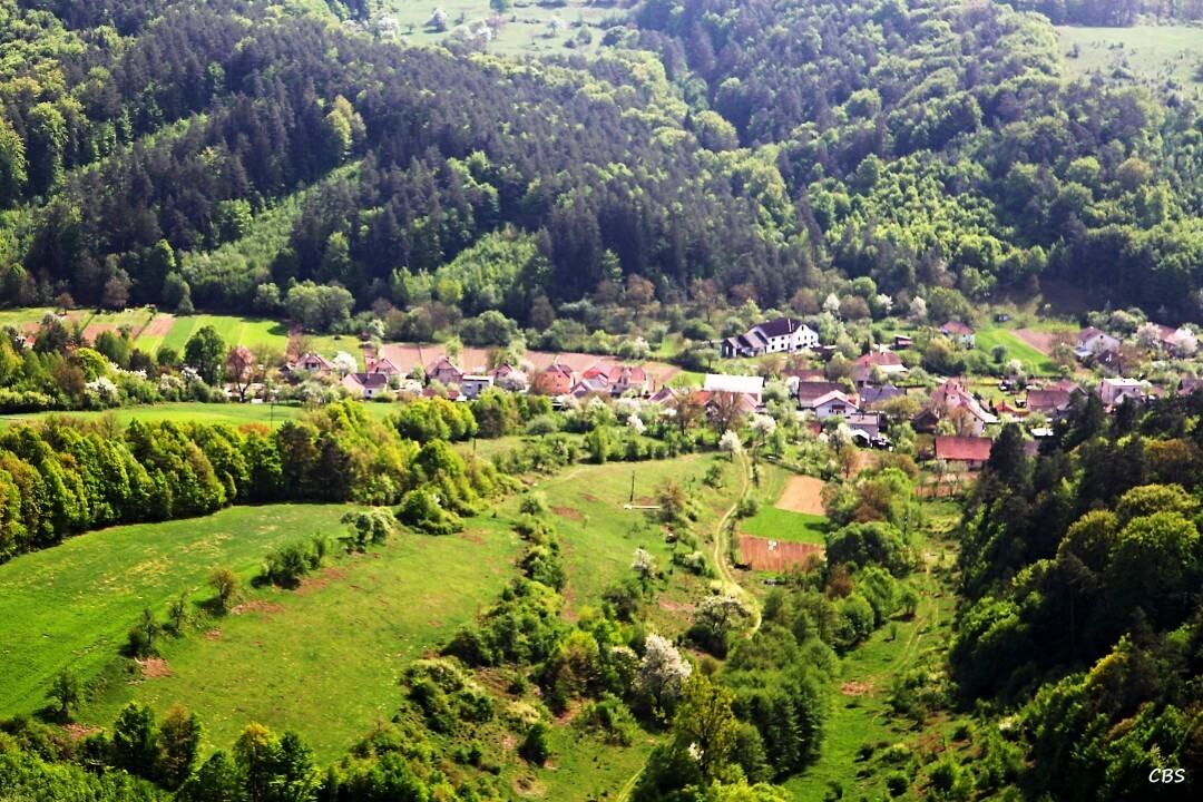 Zitna-Radisa-2013-10