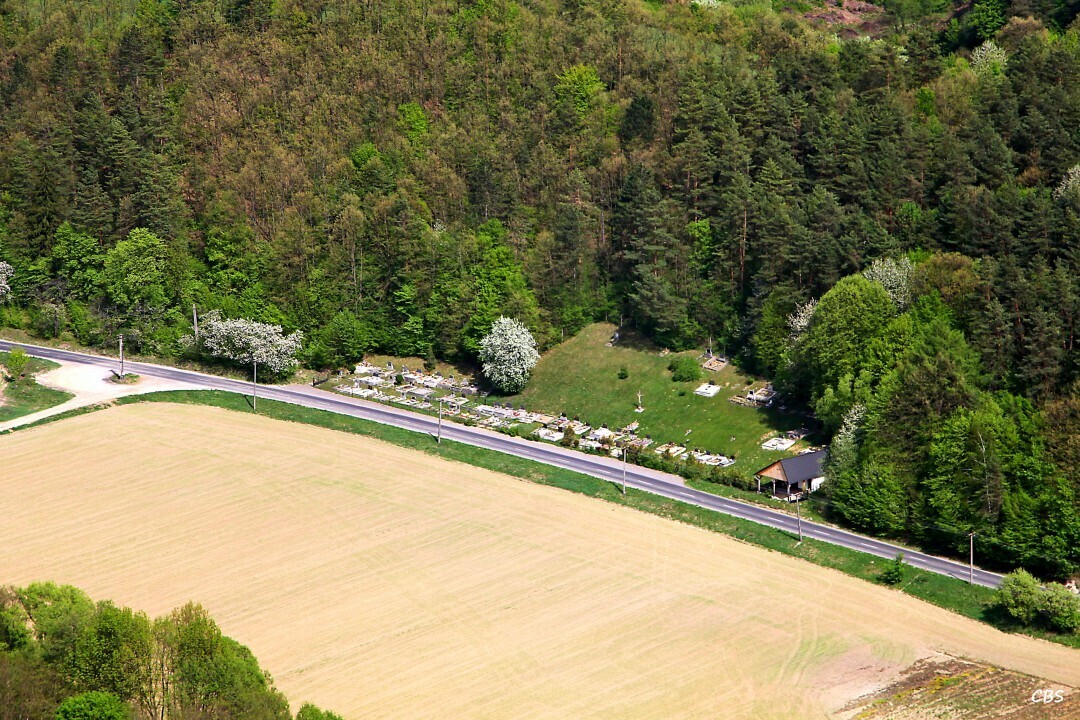 Zitna-Radisa-2013-23