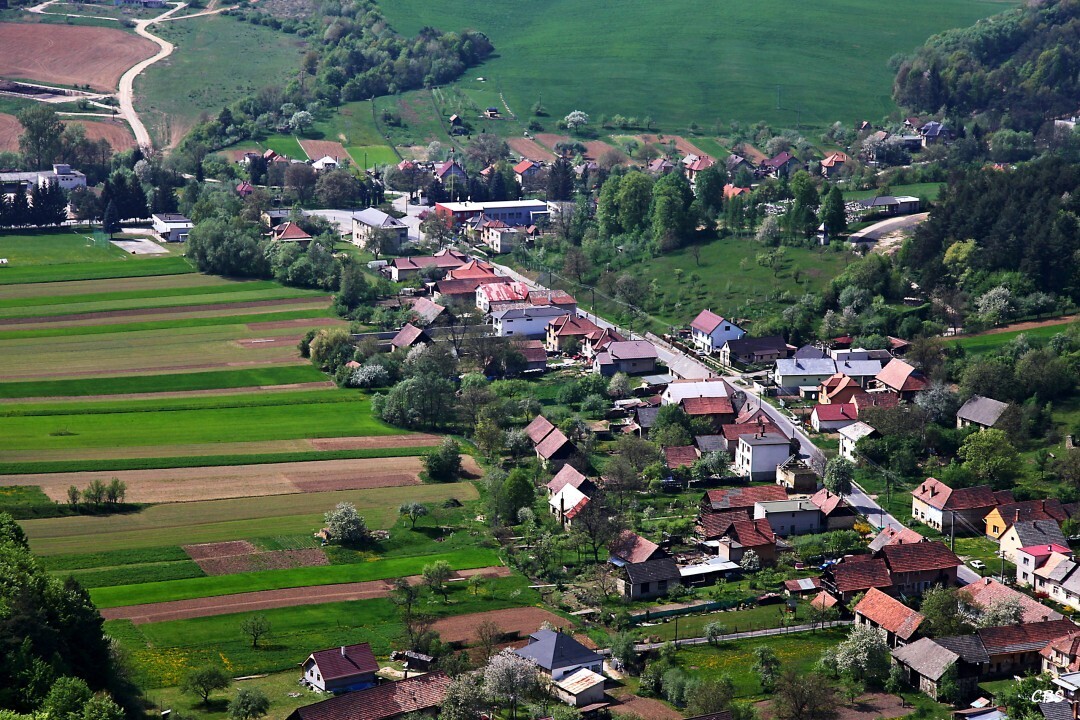 Zitna-Radisa-2013-15