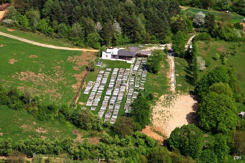 Zitna-Radisa-2013-20