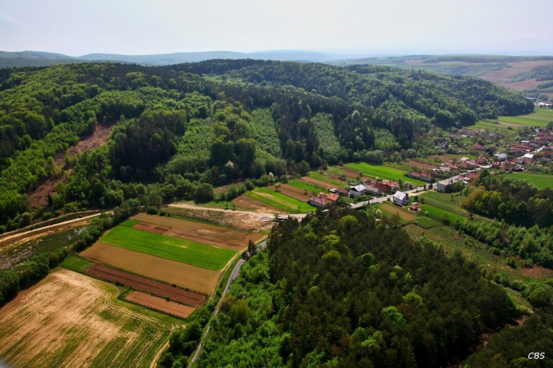 Zitna-Radisa-2013-11