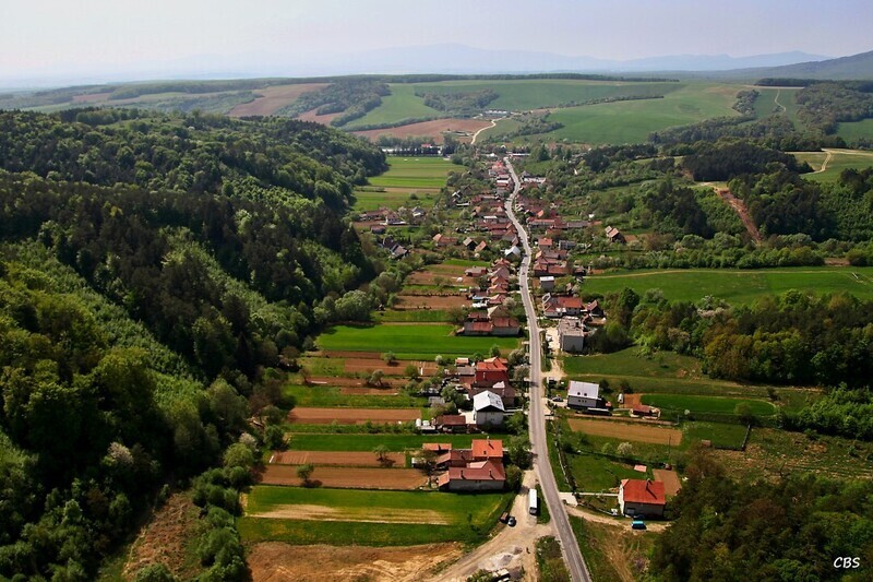 Zitna-Radisa-2013-13