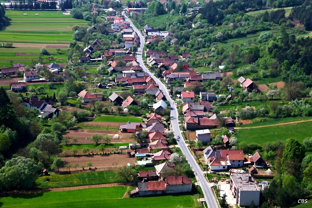 Zitna-Radisa-2013-14