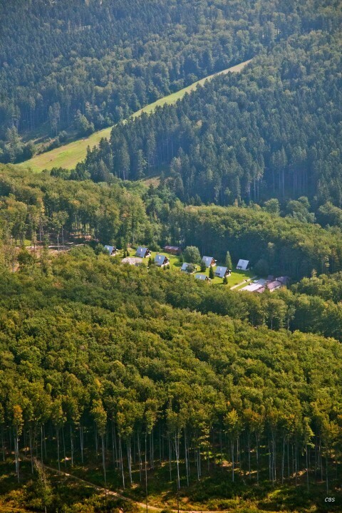 Stara-Myjava-2014-18