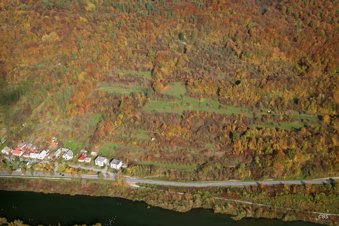 Nimnica-2013-jesen-9