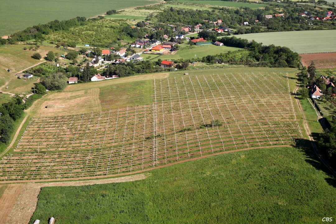 Sucha-nad-Parnou-2014-14