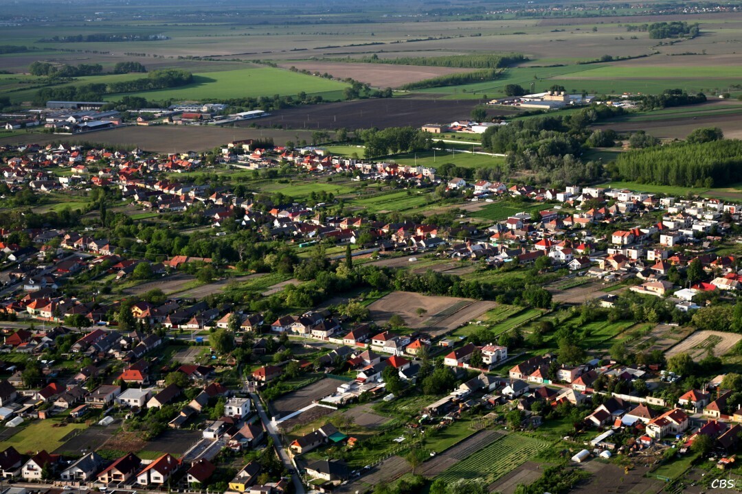 Horne-Saliby-2014-14